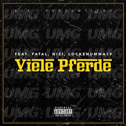 Viele Pferde - Shqiptar, Fatal, Nizi