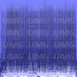 Ewigkeit im Loop - Die Orsons