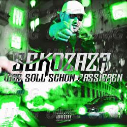 Was soll schon passieren - SEKOZAZA