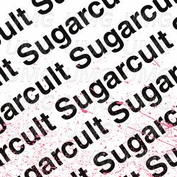 Bouncing Off The Walls - Sugarcult