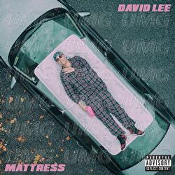 Mattress - David Lee