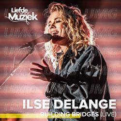 Building Bridges - Ilse DeLange