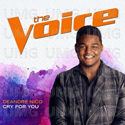 Cry For You - DeAndre Nico