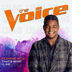 That&rsquo;s What I Like - DeAndre Nico