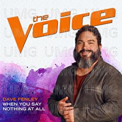 When You Say Nothing At All - Dave Fenley