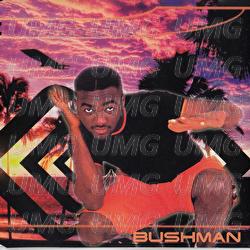 No 1 Else - Bushman