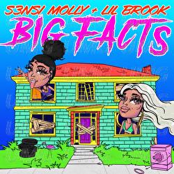 Big Facts - S3nsi Molly, Lil Brook