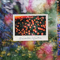 Painkiller Weather - Grayscale