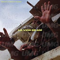 La Vida Es Así - Mozart La Para, Shaddy