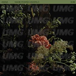 Nadie Podr&iacute;a Hacerlo - Amaia