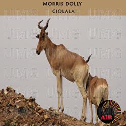 Ciolala - Morris Dolly