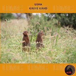 Kiriye Kirio - Usha