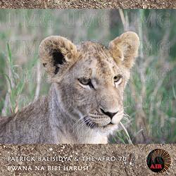 Bwana Na Bibi Harusi - Patrick Balisidya & Afro 70 Band