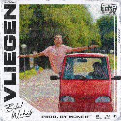 Vliegen - Bilal Wahib