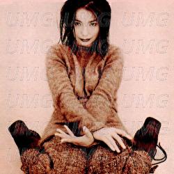 Violently Happy - Bj&ouml;rk