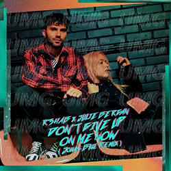 Don't Give Up On Me Now - R3HAB, Julie Bergan