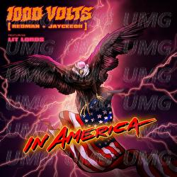 In America - 1000volts, Redman, Jayceeoh
