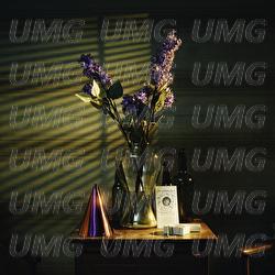 In Violet - Grayscale