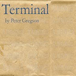 Terminal