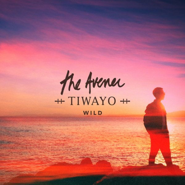 Wild - The Avener, Tiwayo