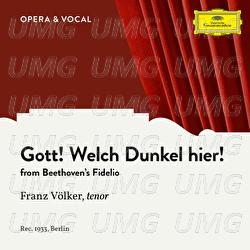 Beethoven: Fidelio, Op. 72: Gott, welch' Dunkel hier - Franz Völker, Staatskapelle Berlin, Alois Melichar
