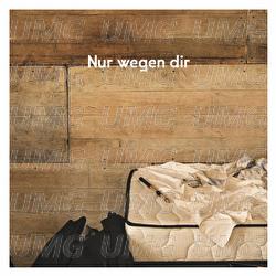 Nur wegen dir - AnnenMayKantereit