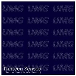 Into The Fire - Thirteen Senses