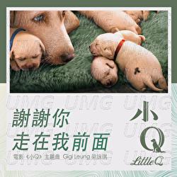 Xie Xie Ni Zou Zai Wo Qian Mian - Gigi Leung