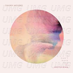 If I Can't Have You - Shawn Mendes, Gryffin