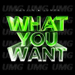 What You Want - Sanjin, Jumpa