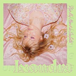 Dip My Heart In Confetti - Lxandra