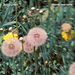 Taconic Heartache - Benny Gebert