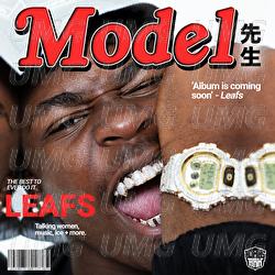 Model - Leafs