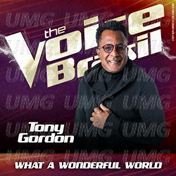What A Wonderful World - Tony Gordon