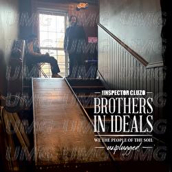 Globalisation Blues Unplugged - The Inspector Cluzo