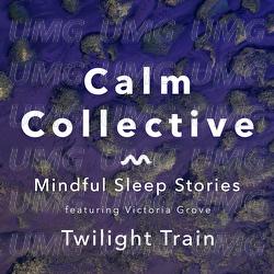 Mindful Sleep Stories: Twilight Train
