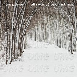 All I Want (For Christmas) - Liam Payne