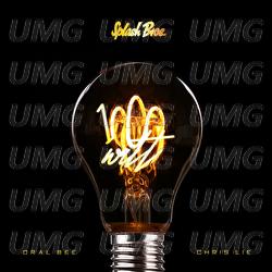 1000 Watt - Splash Bros., Oral Bee, Chris Lie