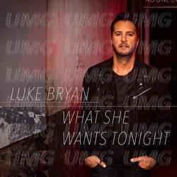 What She Wants Tonight - Luke Bryan