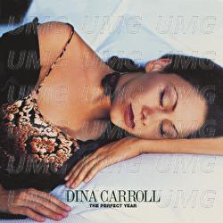 The Perfect Year - Dina Carroll