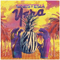 Sinestesia