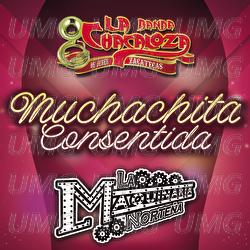Muchachita Consentida - Banda La Chacaloza De Jerez Zacatecas, La Maquinaria Norteña
