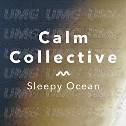 Sun Dream, Pt. 1 - Calm Collective