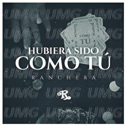 Hubiera Sido Como T&uacute; - Banda El Recodo De Cruz Liz&aacute;rraga