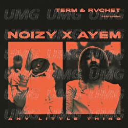 Any Little Thing - Term & Rvchet, Noizy, Ay Em