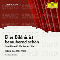 Mozart: Die Zauberflöte, K. 620: Dies Bildnis ist bezaubernd schön - Julius Patzak, Various Artists