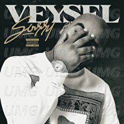 Sorry - Veysel