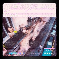 Salut Madame - Casar