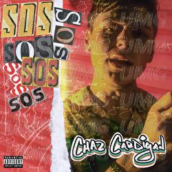 S.O.S - Chaz Cardigan