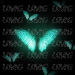butterfly - Sufano